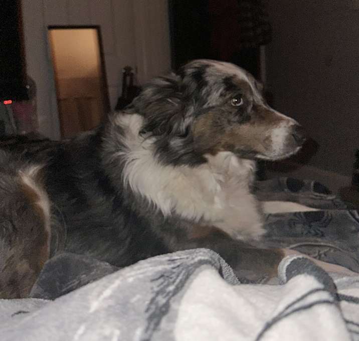 Photo of Xena