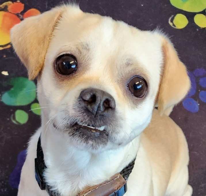 Photo of Arnold
