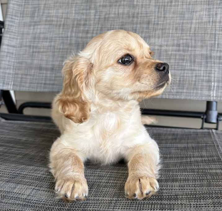 Photo of Jilly