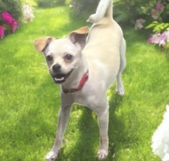 Photo of Mandy