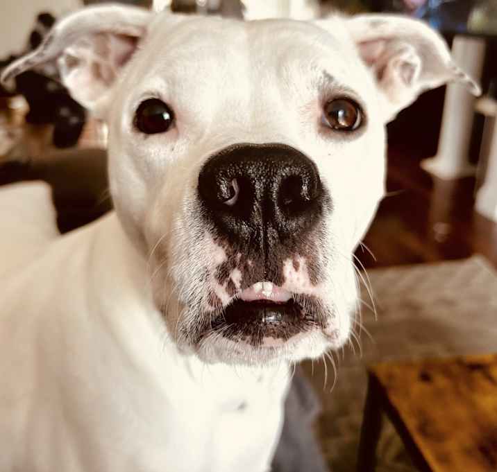 Photo of Mae