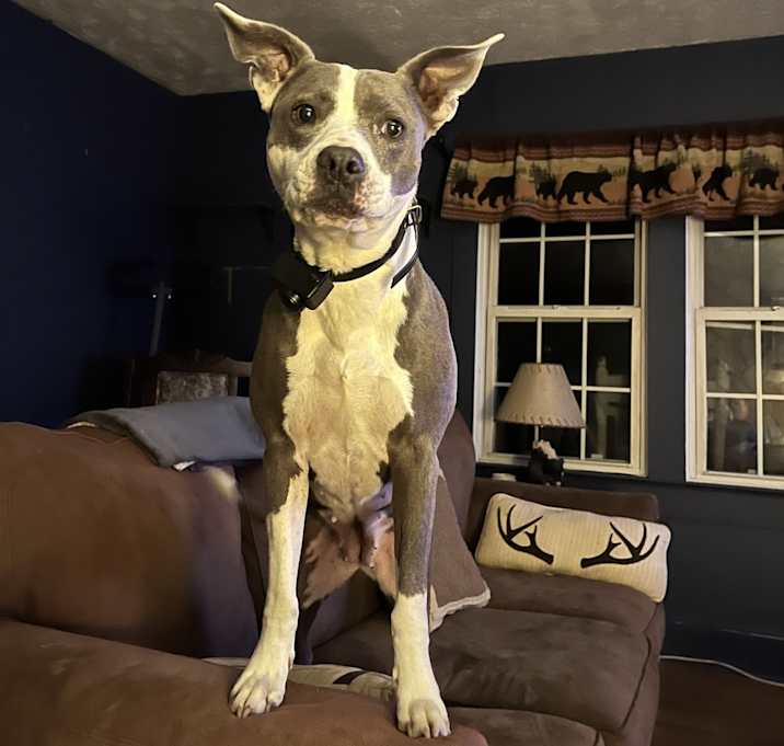 Photo of Tess