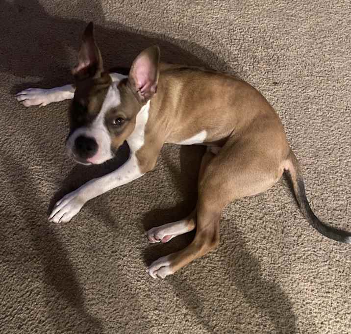 Photo of Kash