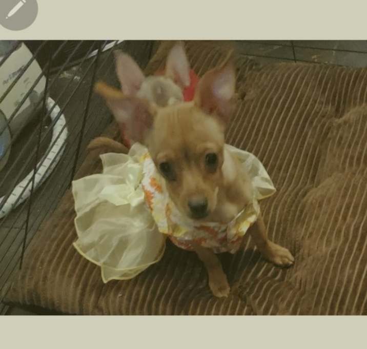 Photo of Mimi