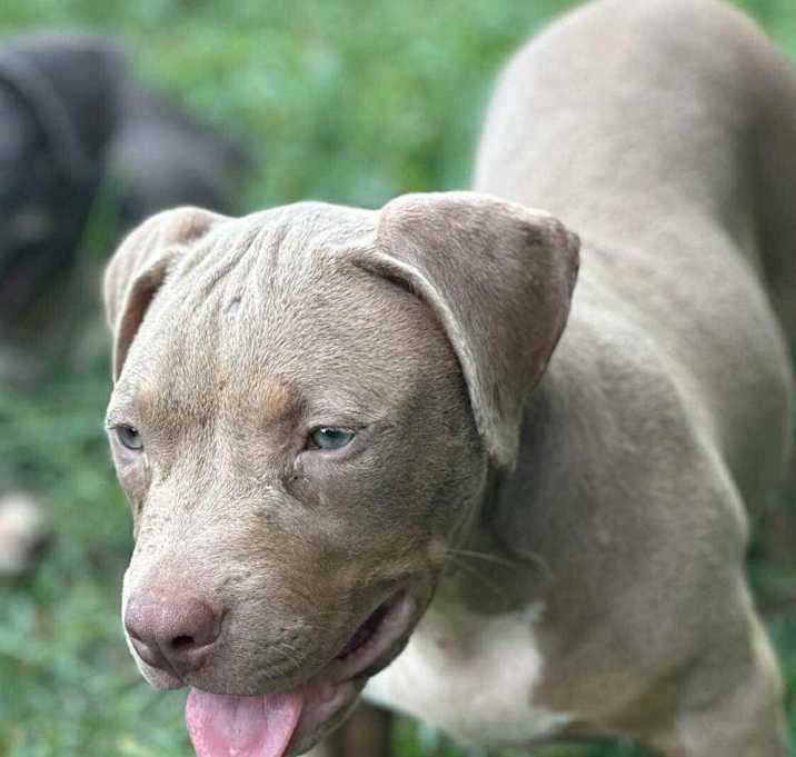 Photo of RUBY/URGENT