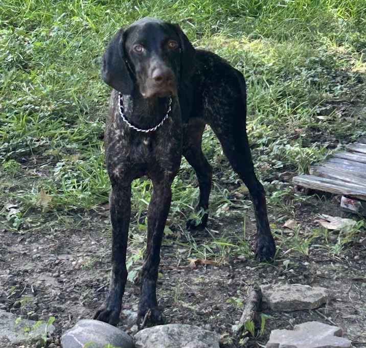 Photo of Bucky