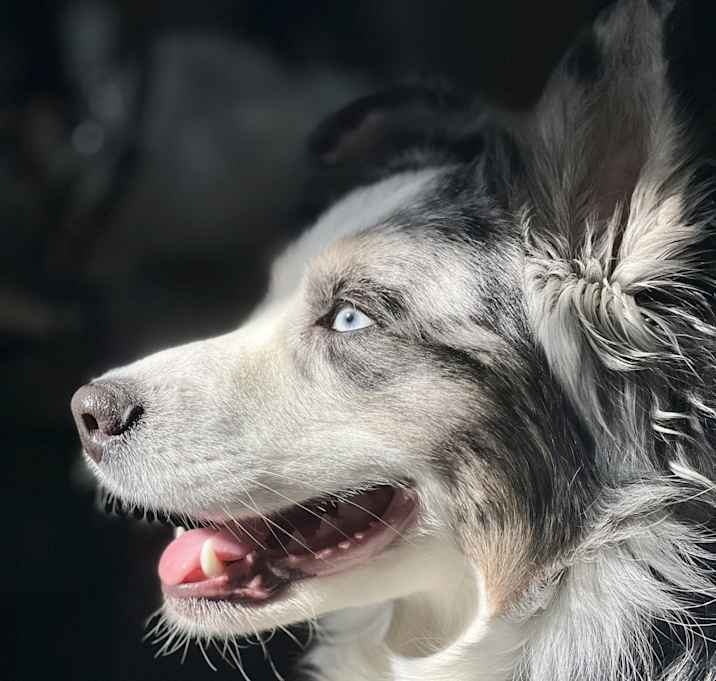 Photo of Lilah