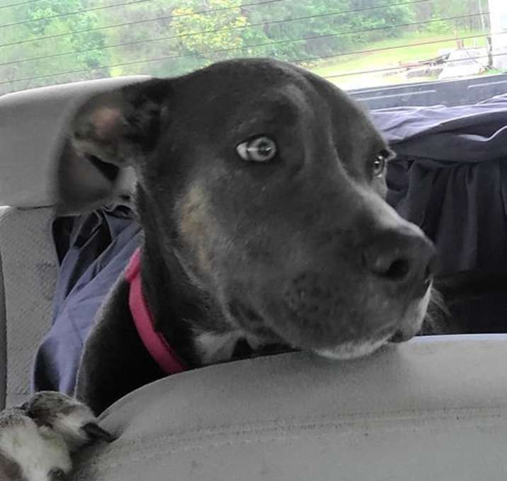 Photo of Sasha
