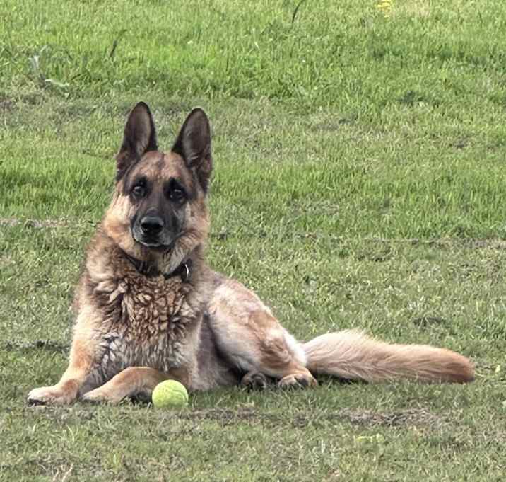 Photo of Lexi