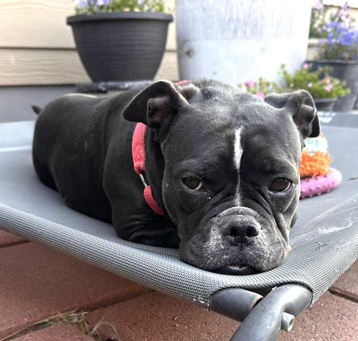 Photo of Princess