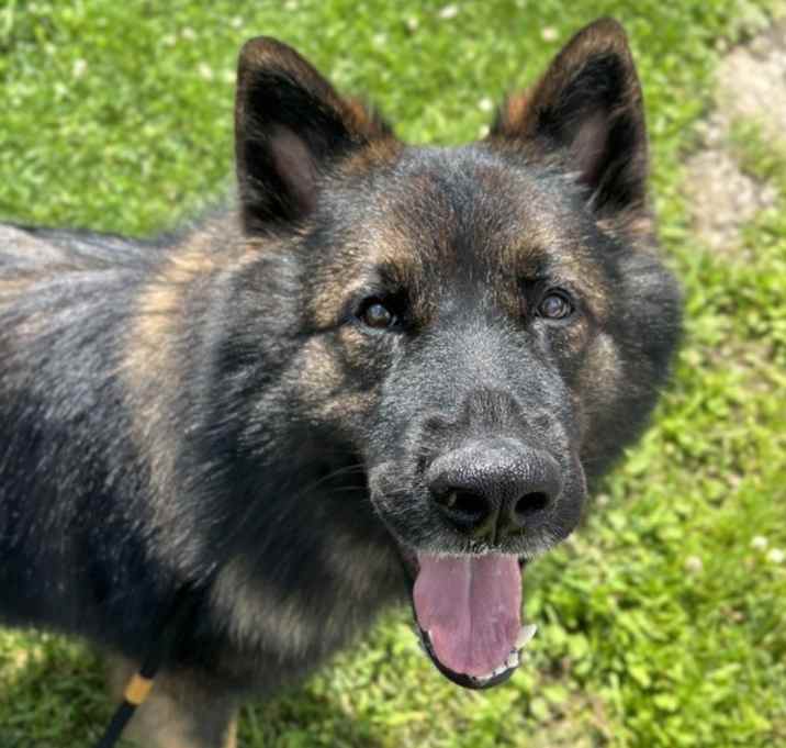 Photo of Kaden