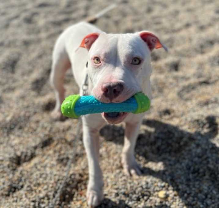 Photo of Johnnie