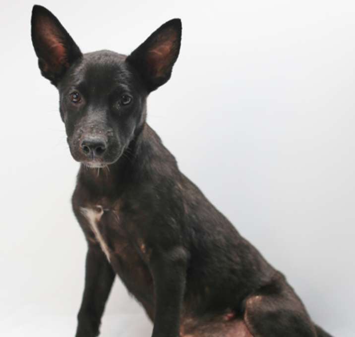 Photo of Bonnie