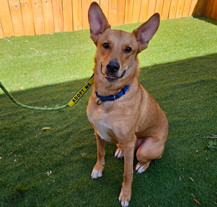 Photo of Kanga JW