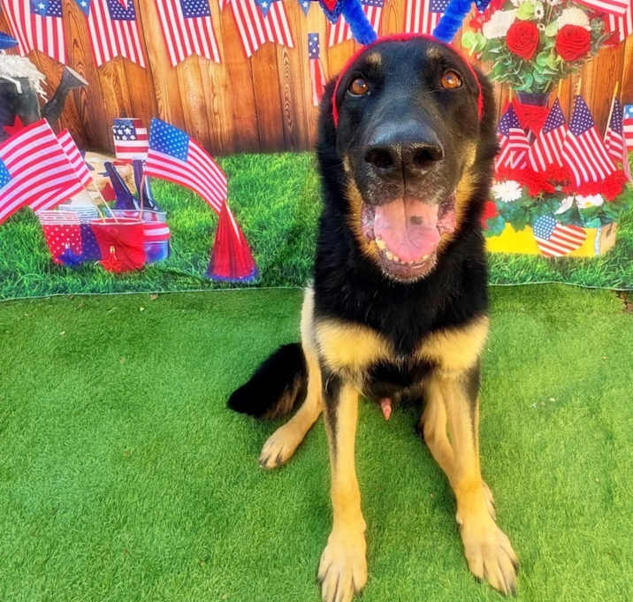 Photo of Fritz