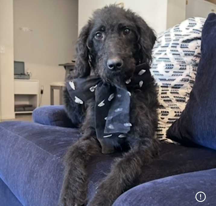 Photo of Tashi