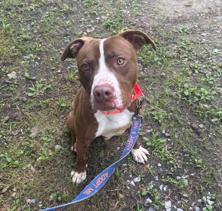 Photo of Archer