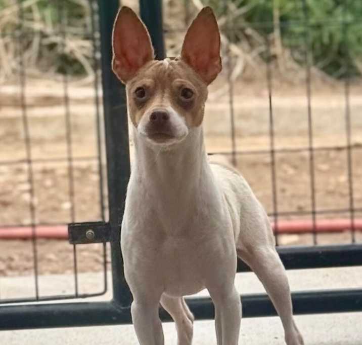 Photo of Bumper