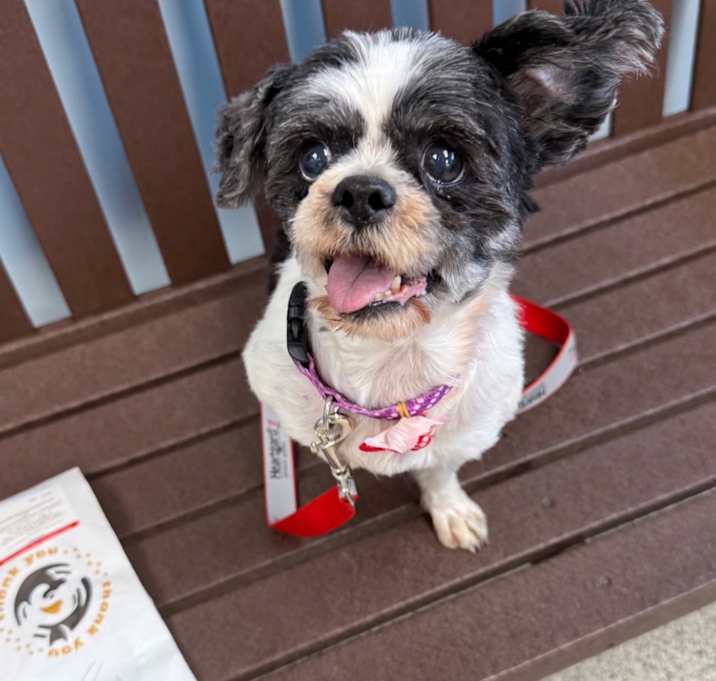 Photo of Molly