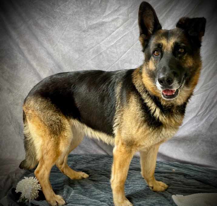 Photo of JUNIPER