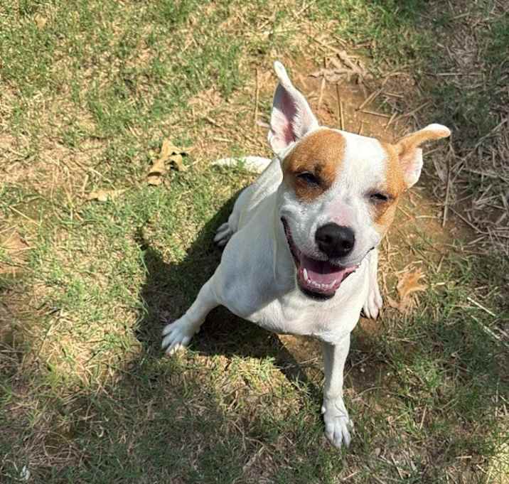 Photo of Leia