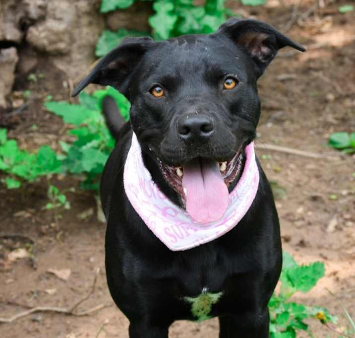 Photo of Tula