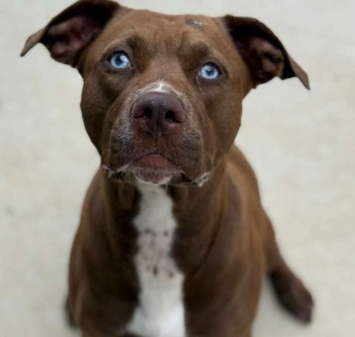Photo of Carmelita