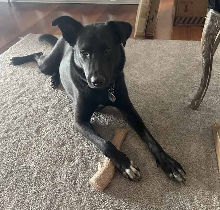Photo of Lenny