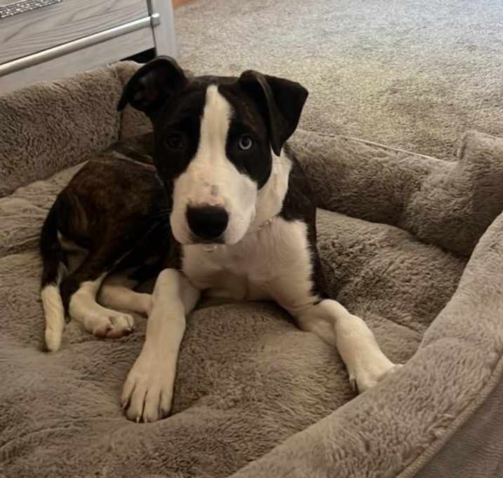 Photo of Keyla