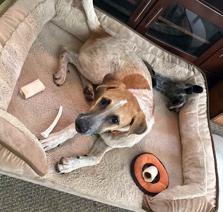 Photo of Daisy Lou