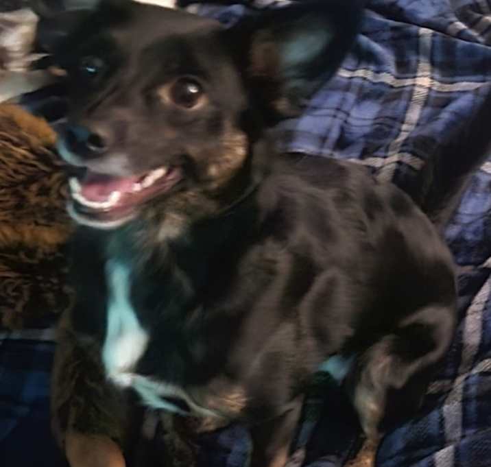 Photo of Diamond