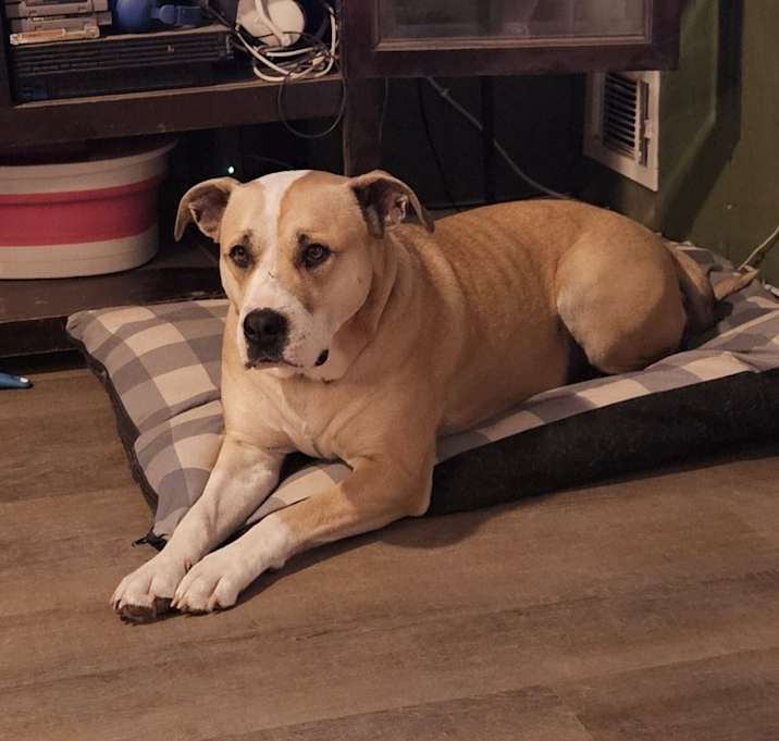Photo of Sugar