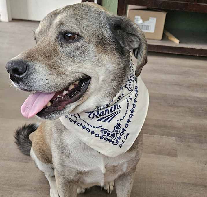 Photo of Buddy Pickles