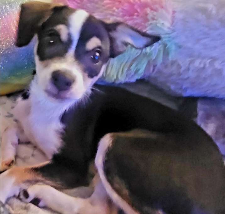 Photo of Maxine