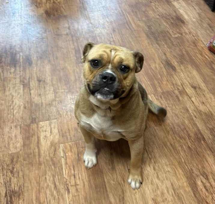 Photo of Chuck ( Rocco)