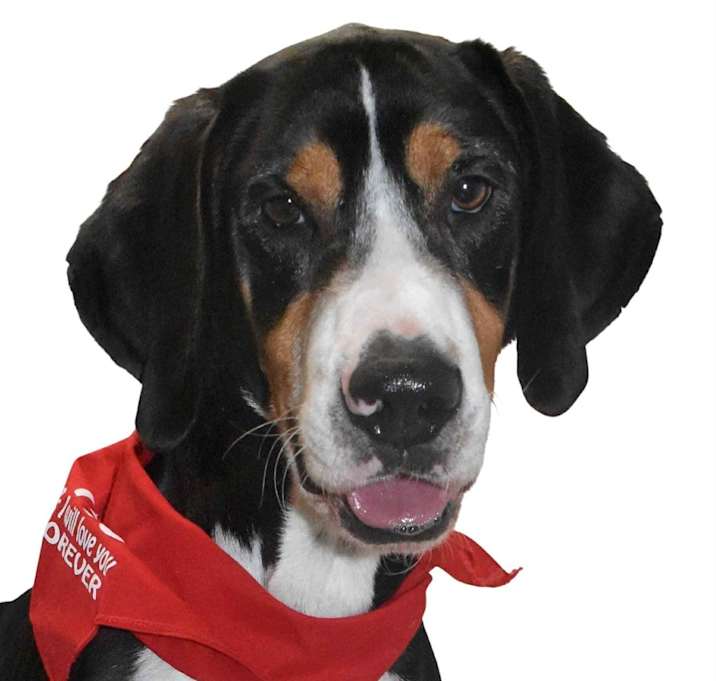 Photo of Max