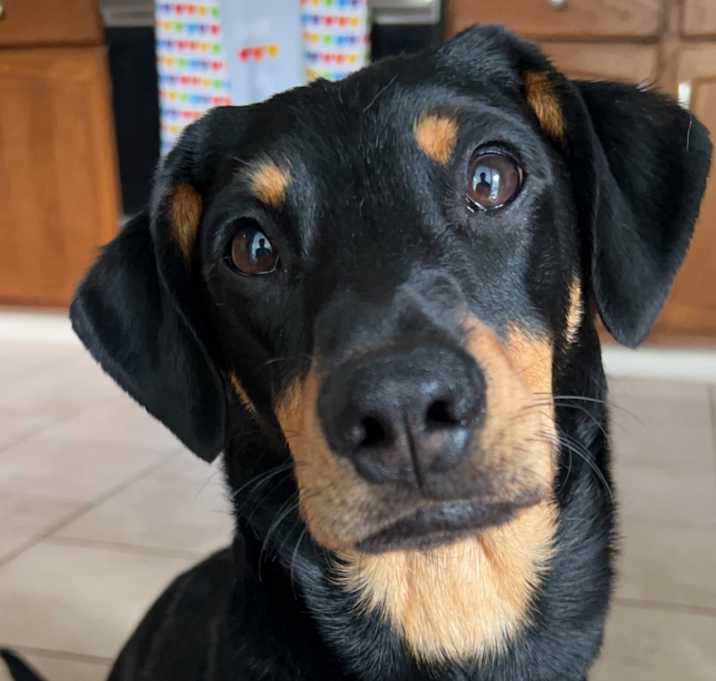 Photo of Winston