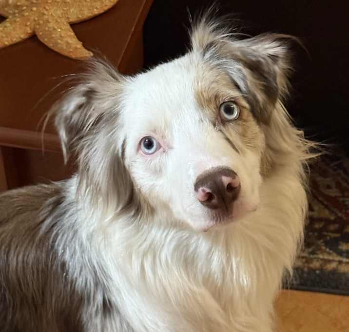 Photo of Lola