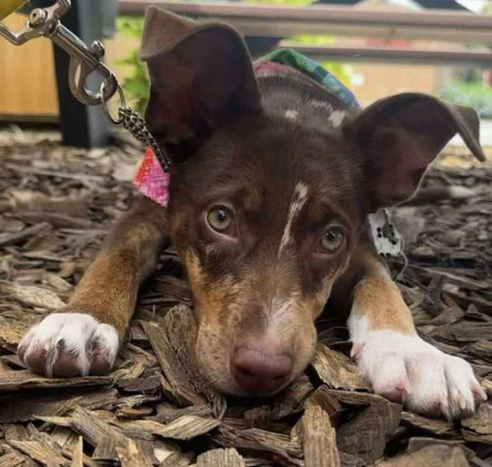 Photo of Kiva