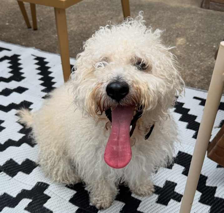 Photo of Oakley