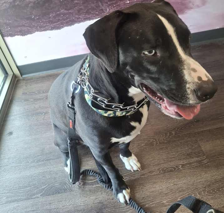 Photo of Kratos