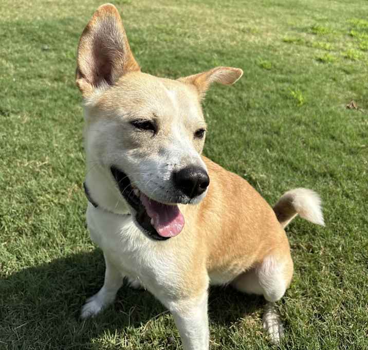 Photo of Luna Mae