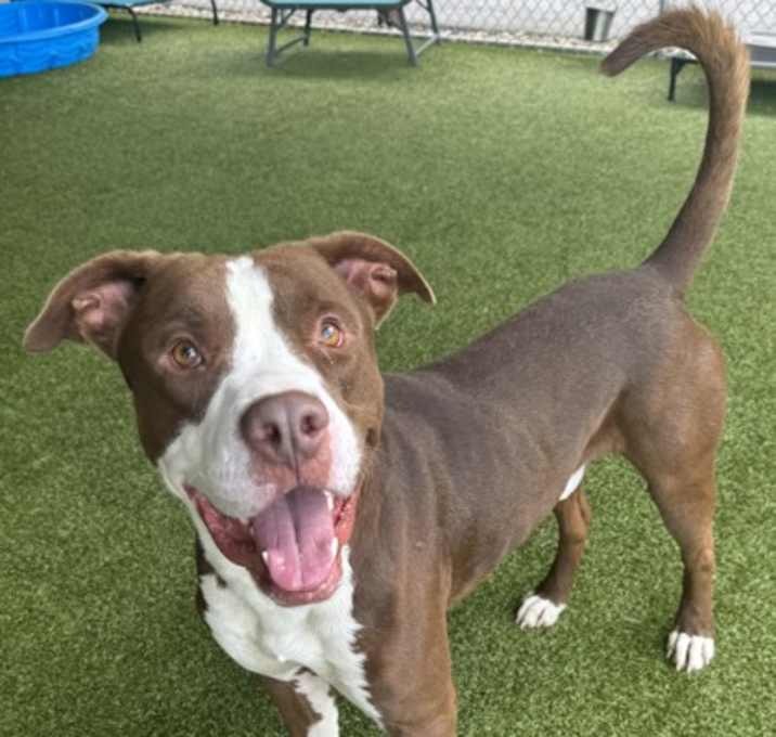 Photo of Tyson