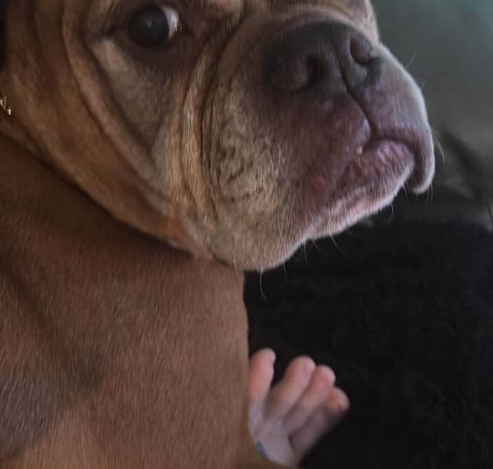 Photo of Chelsey