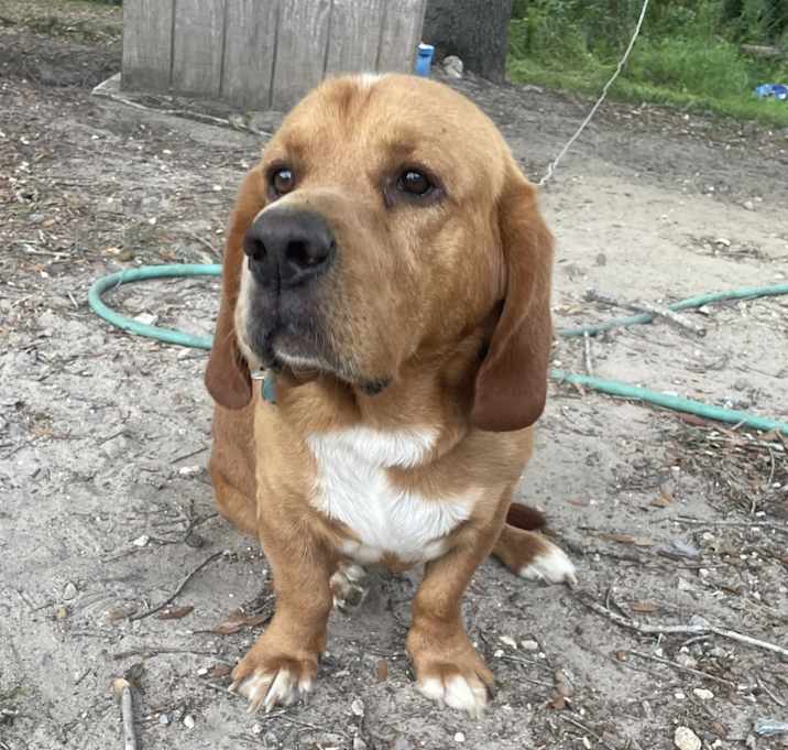 Photo of Copper