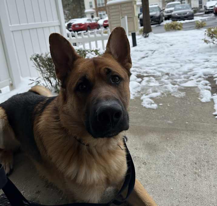 Photo of Duke