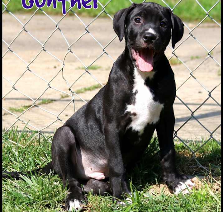 Photo of Gunther