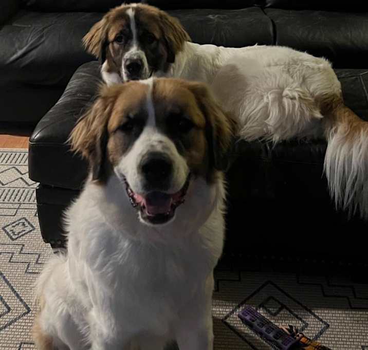 Photo of Kali
