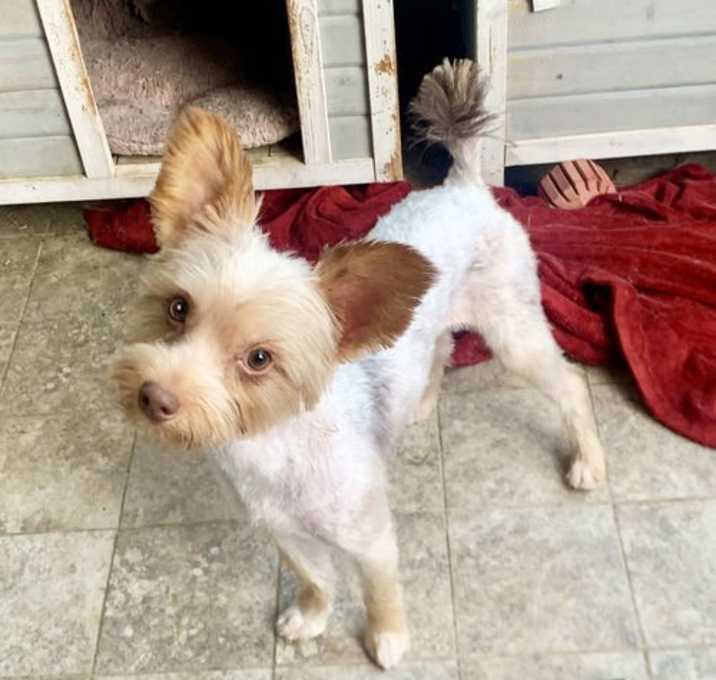 Photo of Itsy