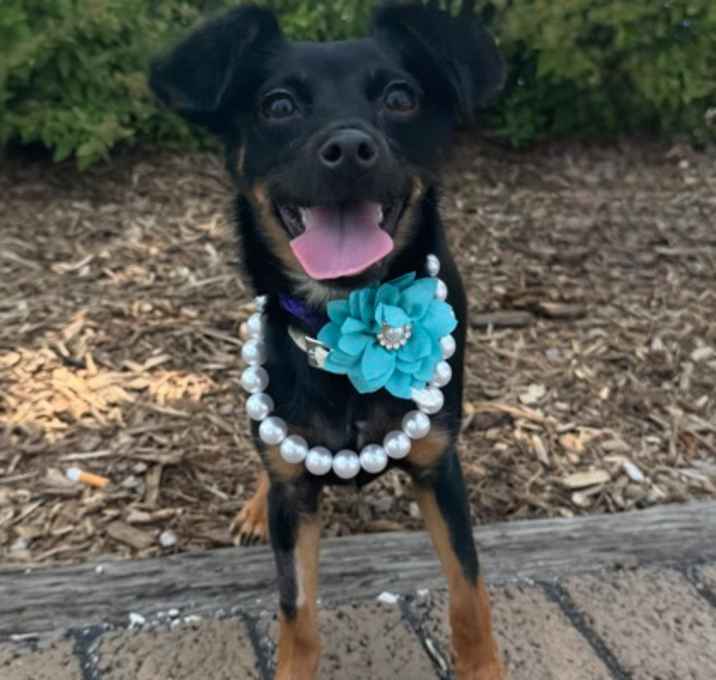 Photo of Tiny Tina